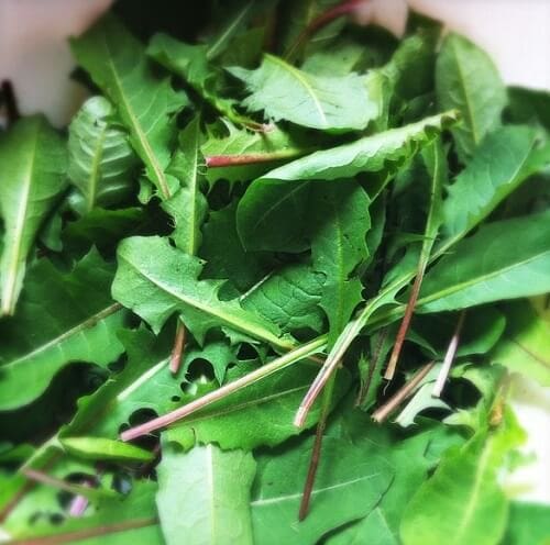 SaladGreens WIC Sweet or savory toppings in a snap