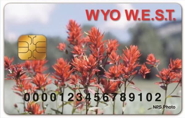 WyomingWICCard-600 Tarjeta WIC de Wyoming