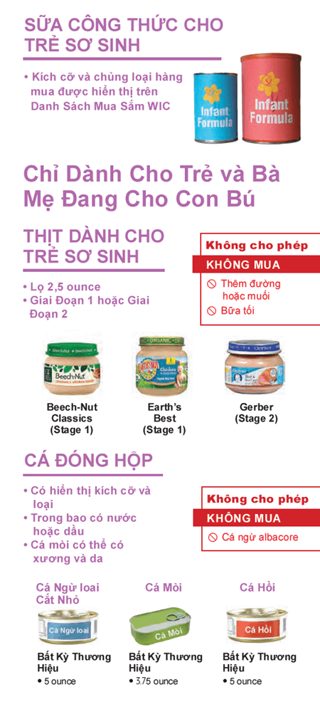 MAFL2022Viet26