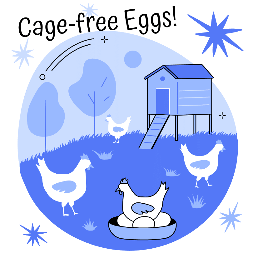 Cage Free Eggs