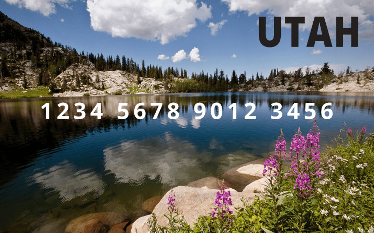 Utah card image with numbers (1) UT WIC