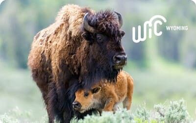 Wyoming WIC Card
