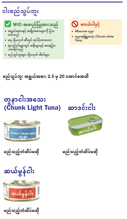 VT WIC စည်သွတ်ငါး