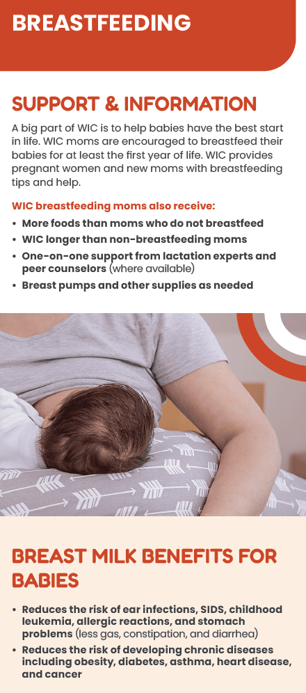 ITCN WIC BREASTFEEDING image