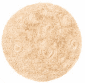 MA WIC tortilla image