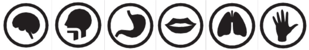 Six circular icons showing simplified silhouettes of a brain, head and throat, stomach, lips, lungs, and a hand.