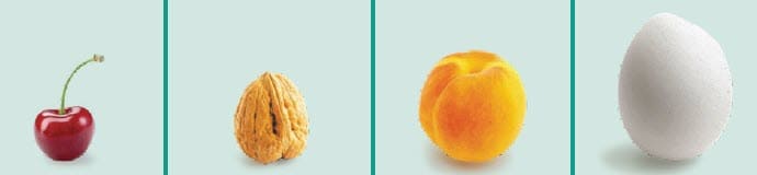 Various sizes of different foods