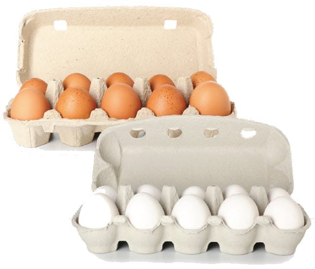 Two open egg cartons, one holding brown eggs and one holding white eggs.