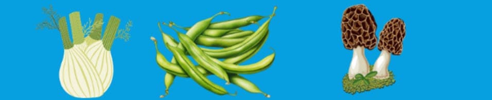 Fennel, green beans, and mushrooms which are in season in the spring.