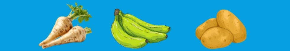 Parsnips, Plantains, Potatoes, which are in season in the Fall.