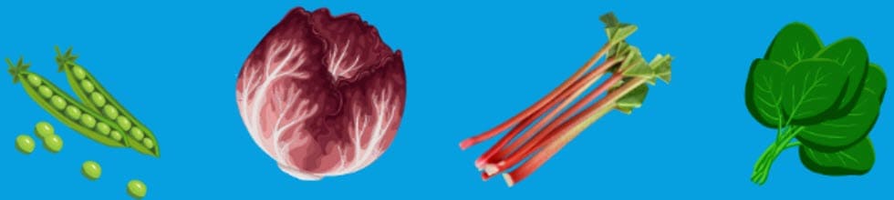 Peas, Radicchio, Rhubarb, and Spinach, which are in season in the spring.