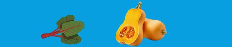 Swiss Chard, Butternut Squash, which are in season in the Fall.