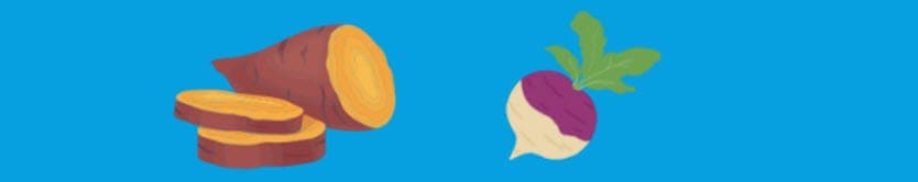 Sweetpotato, Turnip, which are in season in the Winter.