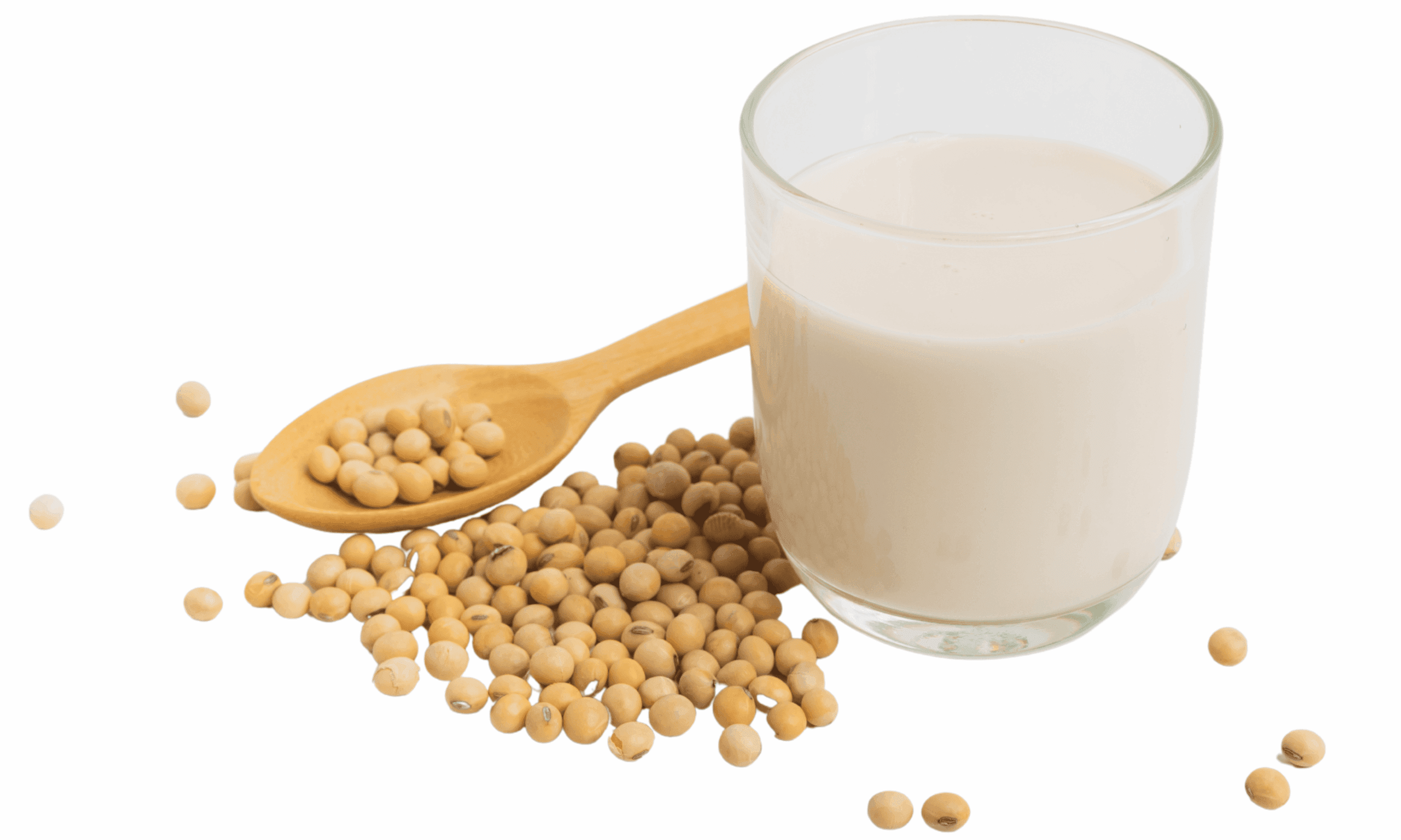 Soy milk in a glass surrounded by soy beans